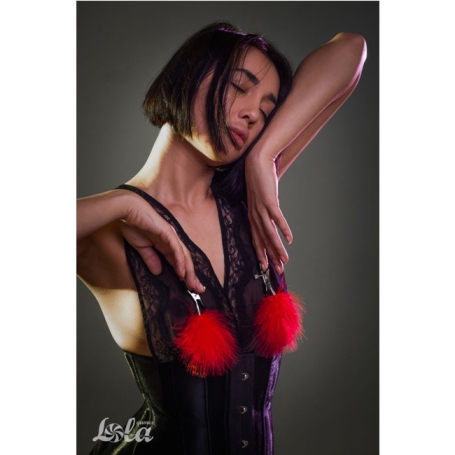 Зажимы на соски Euphoric